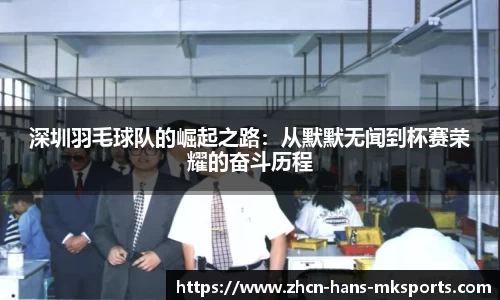 深圳羽毛球队的崛起之路：从默默无闻到杯赛荣耀的奋斗历程