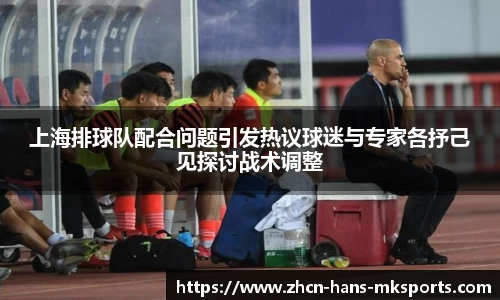上海排球队配合问题引发热议球迷与专家各抒己见探讨战术调整